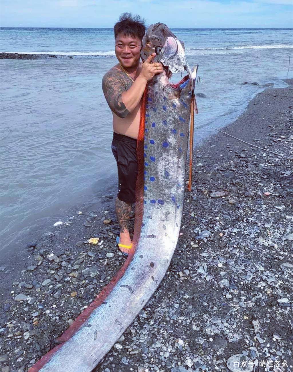 台湾一男子海里钓获260斤的大鱼，看清模样后，惊喜变成了惊吓