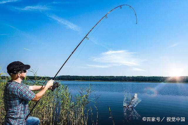 矶钓竿作手竿野钓，掌握这几个技巧，让你渔获翻倍，不再跑鱼