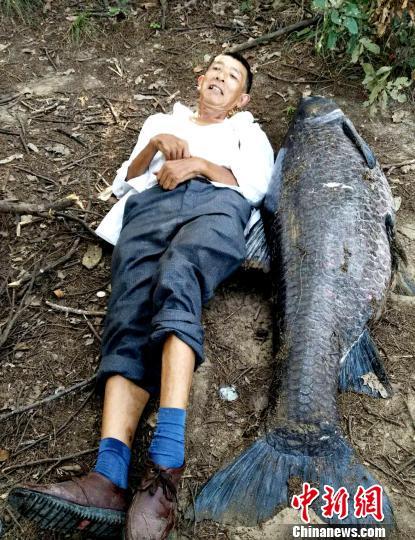 男子钓到长1.6米重102斤青鱼 接近一般成年人身高