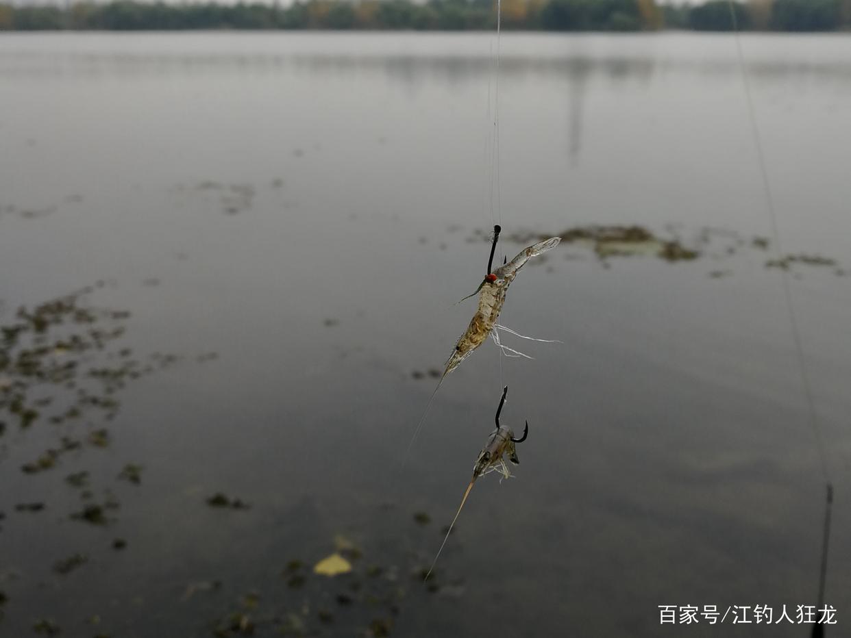 长江里钓鳊鱼，这6种都是常用饵，最后一种一般人接受不了